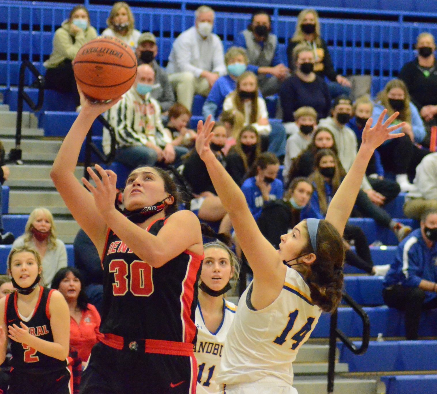 Lincoln-Way Central girls capture Sandburg Holiday Tournament